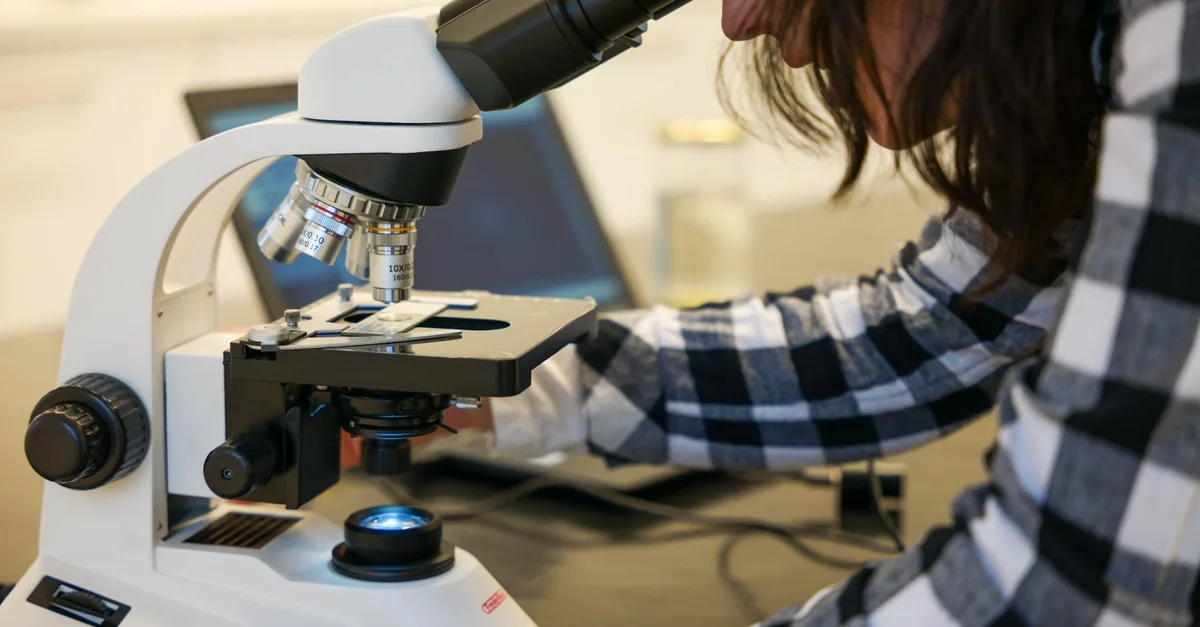 Focused woman examining sample through microscope in lab.