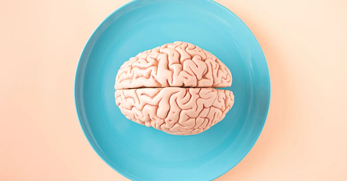 A human brain model placed on a blue plate, viewed from above against a pastel background.